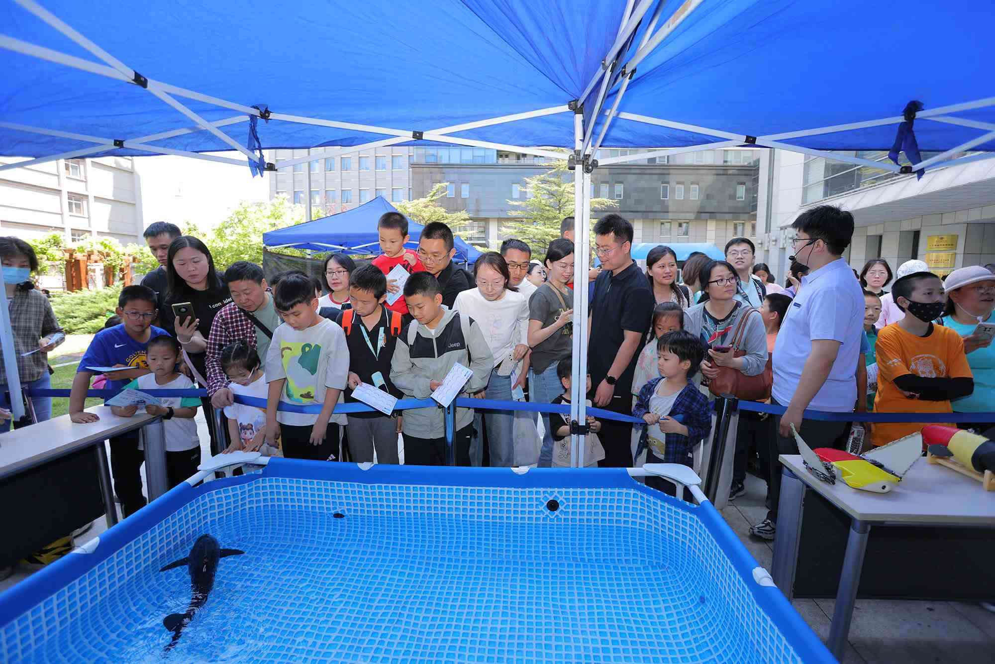 水下仿生機器魚在活動現(xiàn)場大受歡迎。中國科學(xué)院自動化研究所供圖